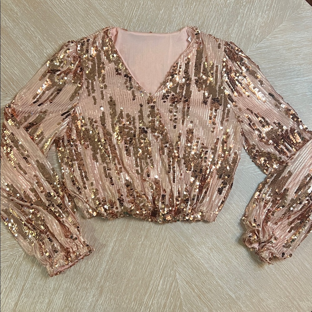 Intricate Sequin Embellished Pink Cropped Long Sleeve Top